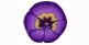 click here to view larger image of Purple Pansy (Tiny) button (buttons)