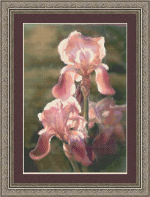 click here to view larger image of Sunlit Irises (chart)