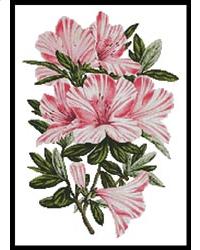 click here to view larger image of Pink Azaleas (chart)