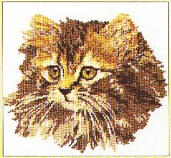 click here to view larger image of Long-Haired Brown Cat - Aida (counted cross stitch kit)