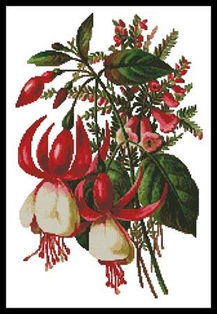 click here to view larger image of Fuschia 3 (chart)