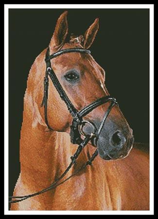 click here to view larger image of Portrait of a Brown Horse  (Lea Roth) (chart)