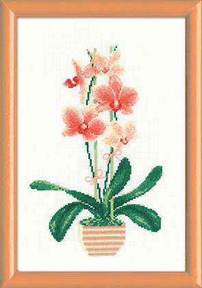 click here to view larger image of Yellow Orchid (counted cross stitch kit)