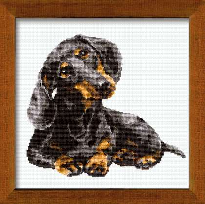 click here to view larger image of Dacshound (counted cross stitch kit)