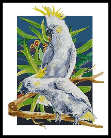 click here to view larger image of Two Sulpher Crested Cockatoos  (Henri Hunsinger) (chart)