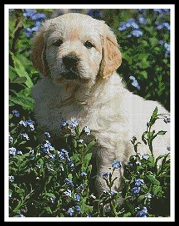 click here to view larger image of Golden Retriever Forget Me Not (chart)