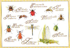 click here to view larger image of Insects (counted cross stitch kit)