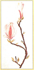 click here to view larger image of Magnolia (counted cross stitch kit)