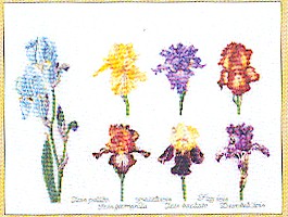 click here to view larger image of Iris Assortment (counted cross stitch kit)