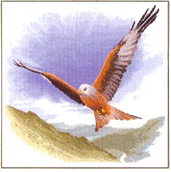 click here to view larger image of Red Kite in Flight - Flights of Fancy (counted cross stitch kit)