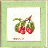 click here to view larger image of Fruit - Cherries (counted cross stitch kit)