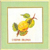 click here to view larger image of Fruit - Pears (counted cross stitch kit)