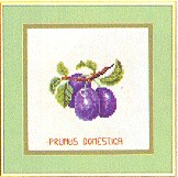 click here to view larger image of Fruit - Plums (counted cross stitch kit)