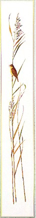 click here to view larger image of Sparrow On Weed (counted cross stitch kit)