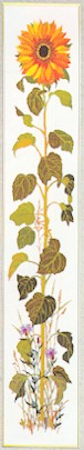 click here to view larger image of Sunflower (counted cross stitch kit)