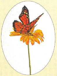 click here to view larger image of Monarch Butterfly (counted cross stitch kit)