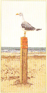 click here to view larger image of Seagull Lookout - Linen (counted cross stitch kit)