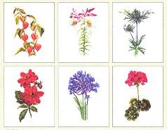 click here to view larger image of Six Floral Patterns (Floral Studies 2) - Linen (counted cross stitch kit)