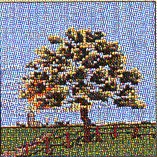 click here to view larger image of Tree - Summer  (counted cross stitch kit)