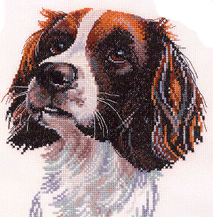 click here to view larger image of Samuel - Animal Portraits (chart)