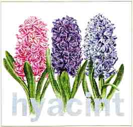 click here to view larger image of Hyacinth - Linen (counted cross stitch kit)