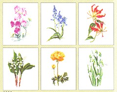 click here to view larger image of Six Floral Patterns (Floral Studies 6) - Linen (counted cross stitch kit)