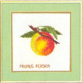 click here to view larger image of Fruit - Peaches (counted cross stitch kit)